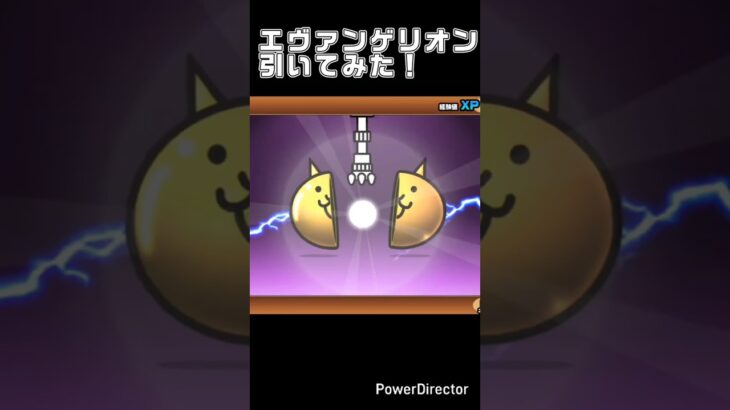 【にゃんこ大戦争】エヴァガチャ引いてみた！#shorts#にゃんこ大戦争