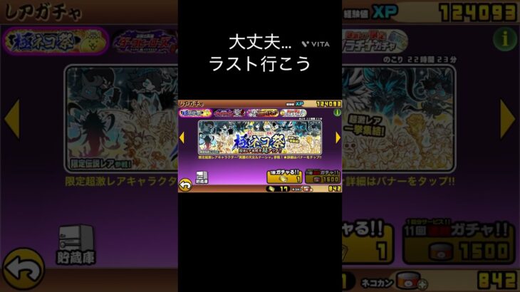 いつ撮ったやつや【にゃんこ大戦争】#shorts #short #shortvideo #にゃんこ大戦争 #にゃんこ大戦争ガチャ #にゃんこ大戦争超極ネコ祭 #極ネコ祭#ゾロヨン