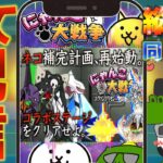 【 #にゃんこ大戦争 ライブ配信】＃２７８　エヴァゲリオンコラボ！全てのステージをクリアしたい！ #shorts #thebattlecats ＃プラチナチケット