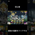 なんでこの編成で行けたんだ…？#syort #にゃんこ大戦争 #にゃんこ大戦争初心者