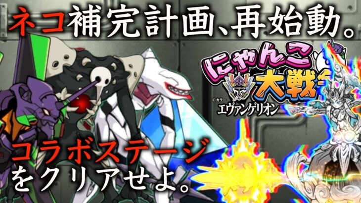 【 #にゃんこ大戦争 ライブ配信】＃２７８　エヴァゲリオンコラボ！全てのステージをクリアしたい！雑談おじにゃんこ大戦争。 【最強編成】 #thebattlecats #ponos