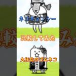 ネコキョンシーと大狂乱のゴムネコ比較してみた。#にゃんこ#強さ比べ