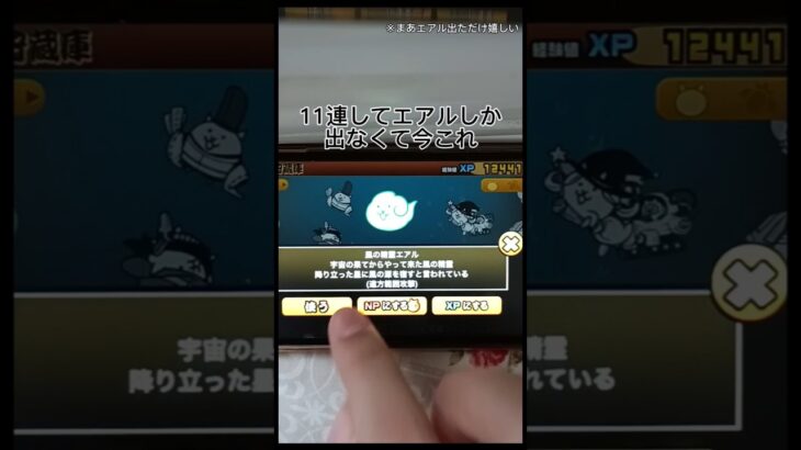 最近今これ系の動画見ないよね（）#にゃんこ #にゃんこ大戦争 #ガチャ #今これ界隈#ライラック #エアル #歌ってみた