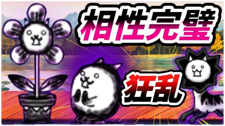 味方キャラ「大狂乱のネコフラワー」と「大狂乱のちびネコライオン」を同時に使用【にゃんこ大戦争】