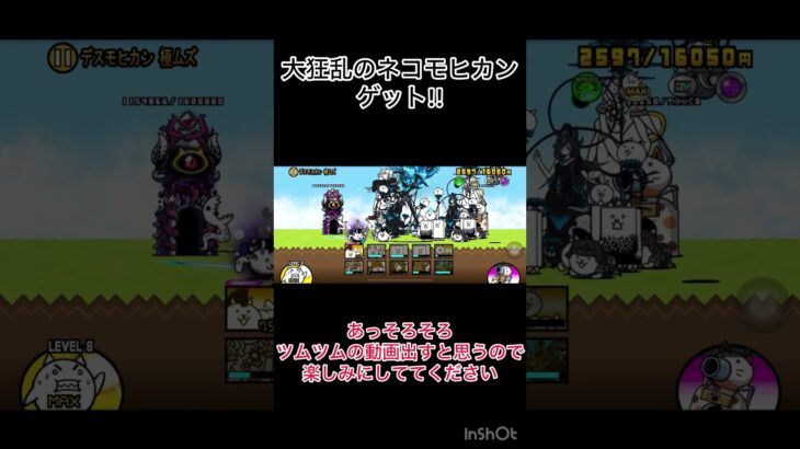 大狂乱のネコモヒカンクリア!#にゃんこ大戦争