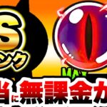 無課金キャラってこんなに強くていいの？　にゃんこ大戦争