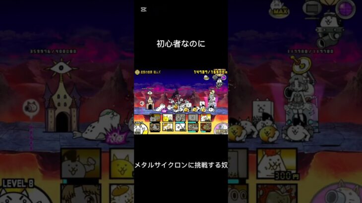 初心者なのにメタルサイクロンに挑戦する奴#にゃんこ大戦争 #にゃんこ大戦争初心者