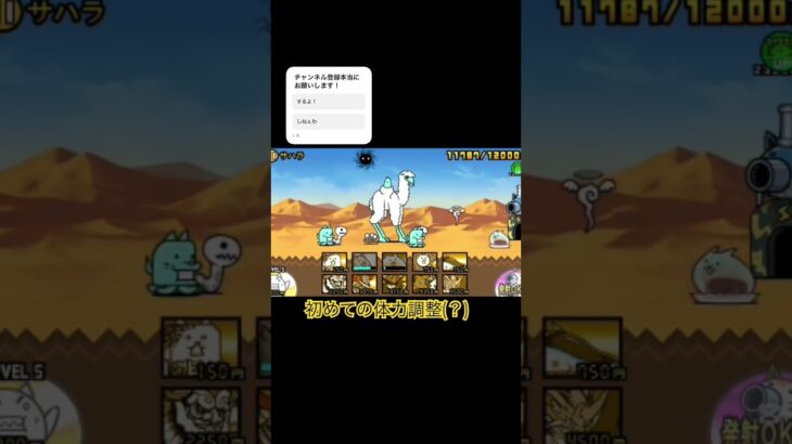 初めての体力調整！アルパッカ#にゃんこ大戦争#手抜き#体力調整