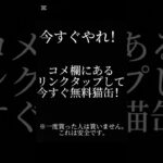 にゃんこ民必見！絶対やれ無料猫缶　※詐欺じゃないよ　#にゃんこ大戦争