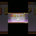 どうしてだよぉぉ😭#にゃんこ大戦争#ガチャ