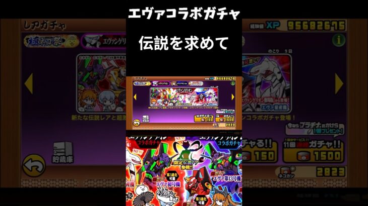 【１から始める無課金にゃんこ大戦争】２３６５日目エヴァコラボガチャ２ｎｄで引けば結果は違うかもだけど＃にゃんこ大戦争＃エヴァンゲリオン