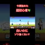【にゃんこ大戦争】無課金超初心者　静岡編