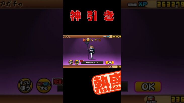 #にゃんこ大戦争 #神引き　#エブァ