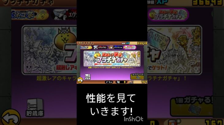 プラチナチケット引いてみた!＃にゃんこ大戦争#無課金
