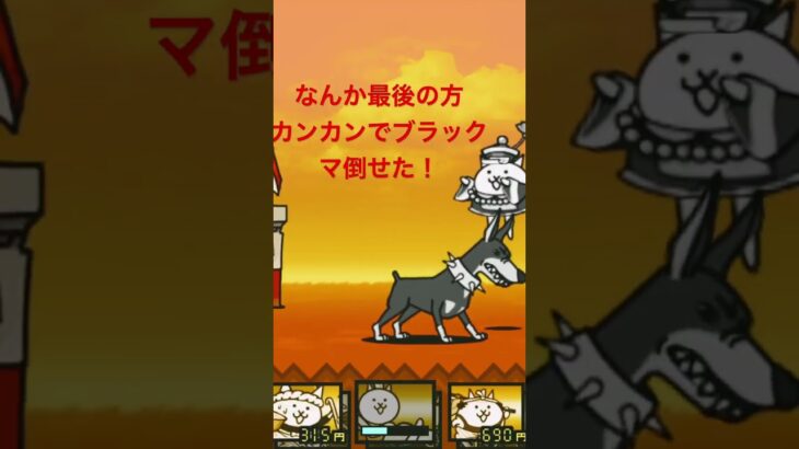今日は旧レジェ攻略⁉️ #にゃんこ大戦争 #ゲーム